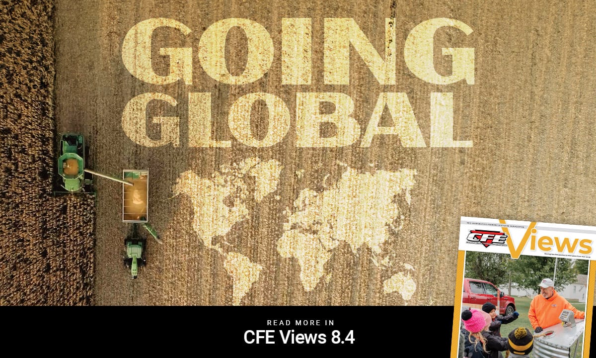 Going Global in CFE Views 8.4