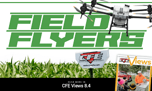 Field Flyers in CFE Views 8.4