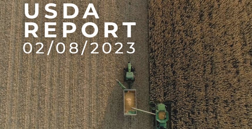 USDA-Report_02082023