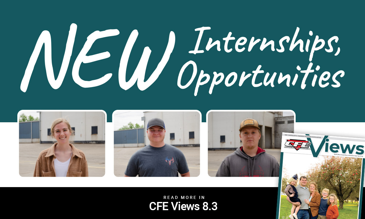 CFE Views 8.3: New Internships, New Opportunities