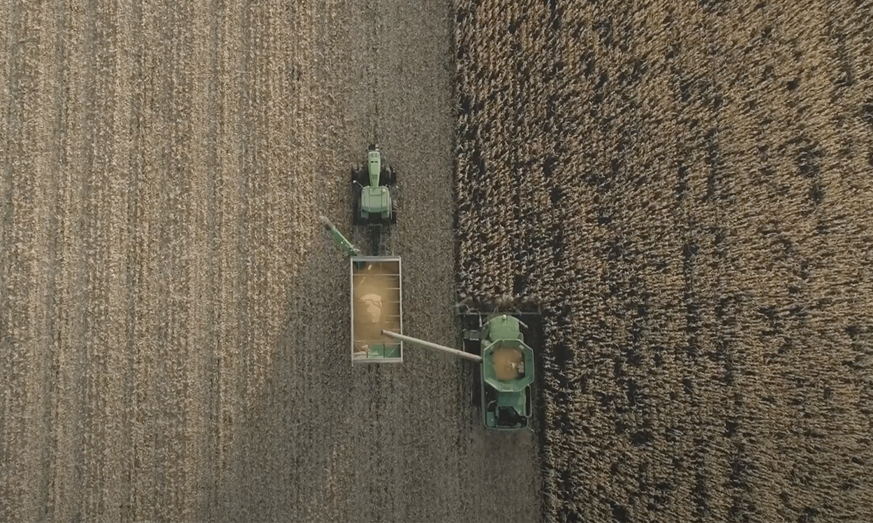 Harvest Drone View