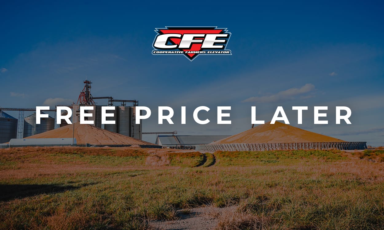 Free Price Later