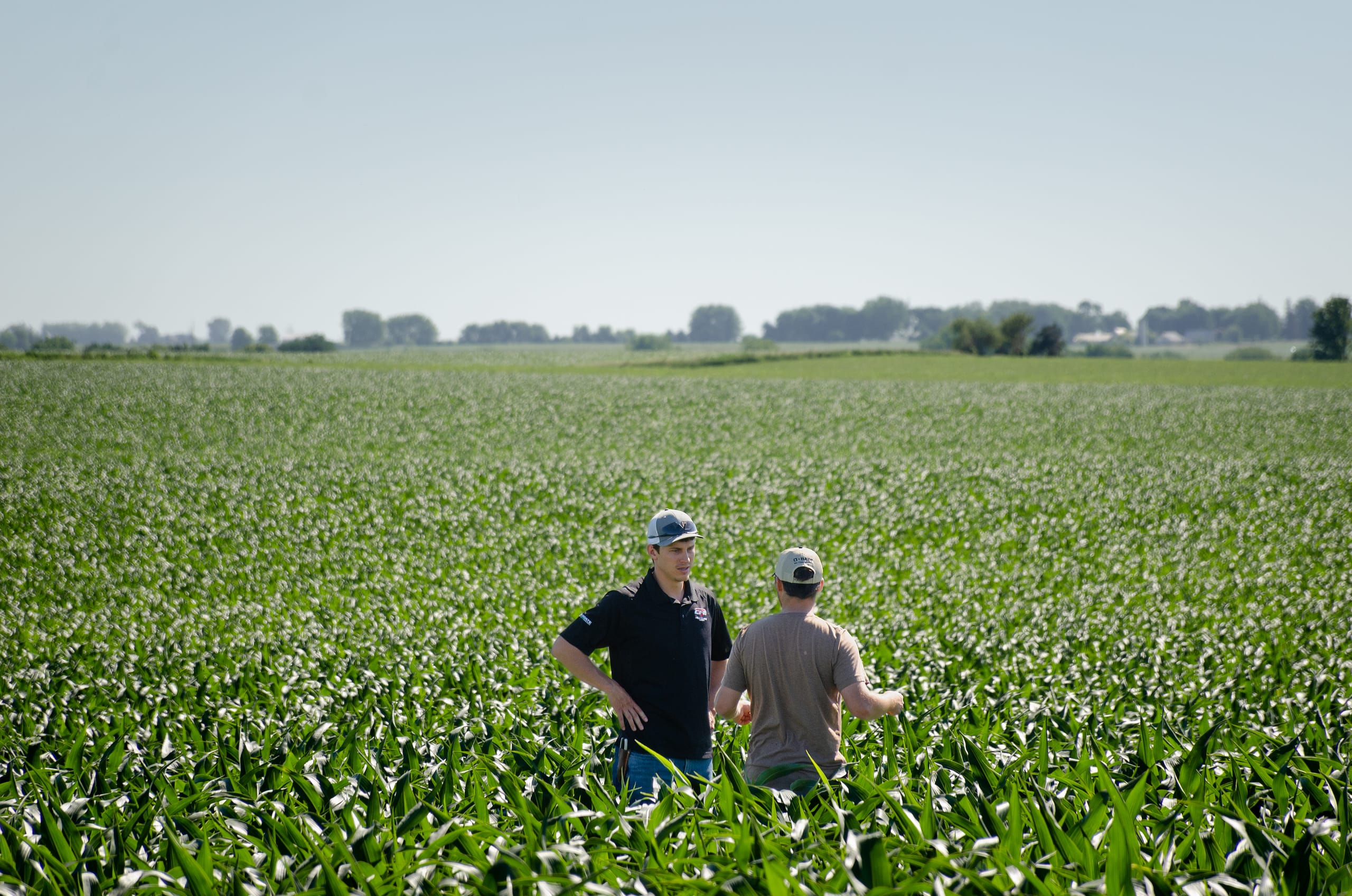 Agronomist in Field