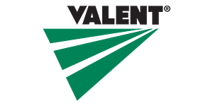 Valent
