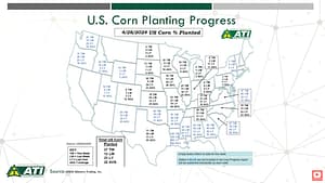 Corn Planting