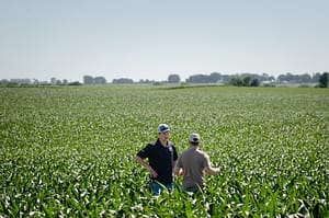 Agronomist in Field