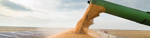 Grain Cart