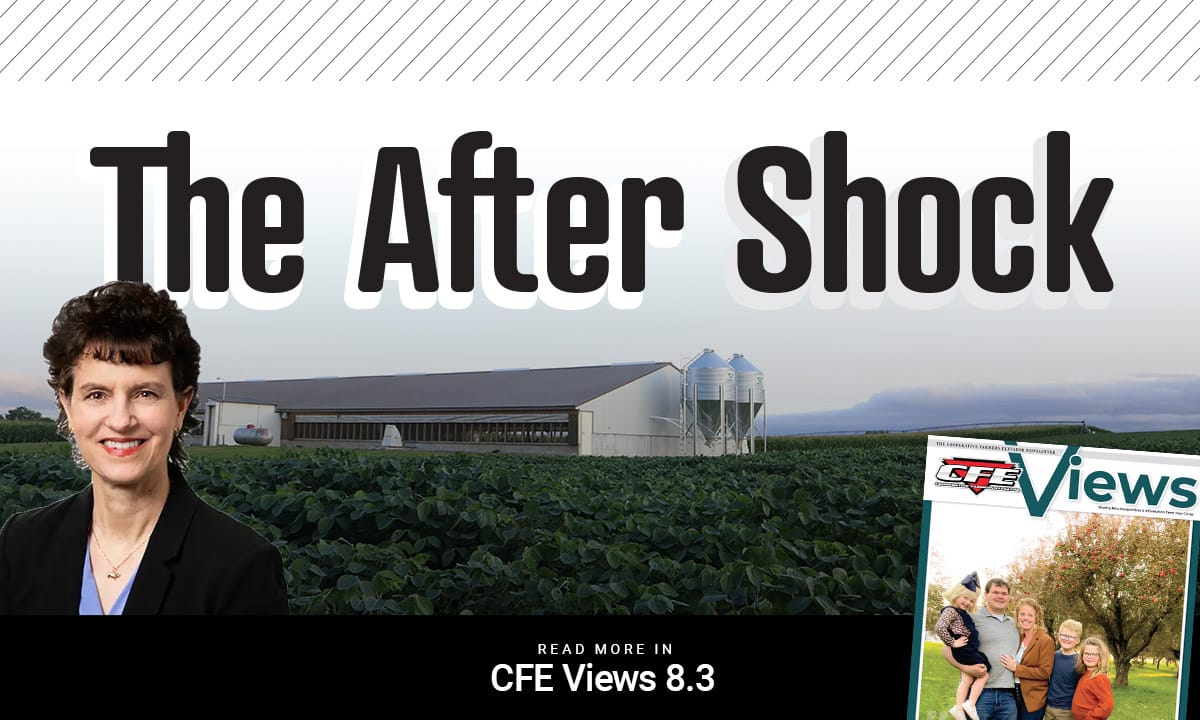 CFE Views 8.3: Proposition 12 - The After Shock