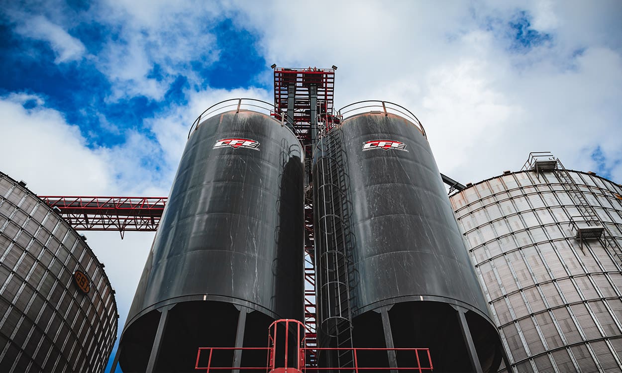 news_usda-grain-reports
